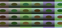 rows and columns of gradients